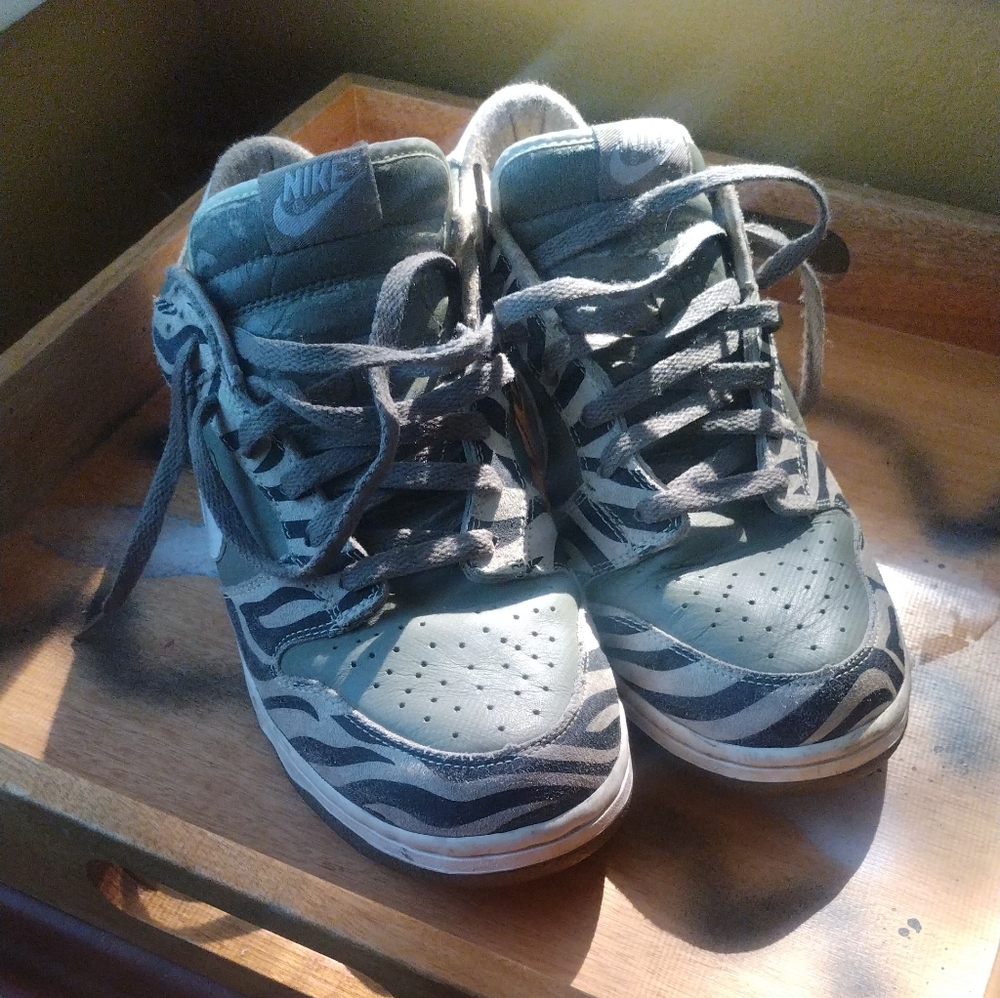 Nike Daktari Dunk Priced As A Mid Grade MP3